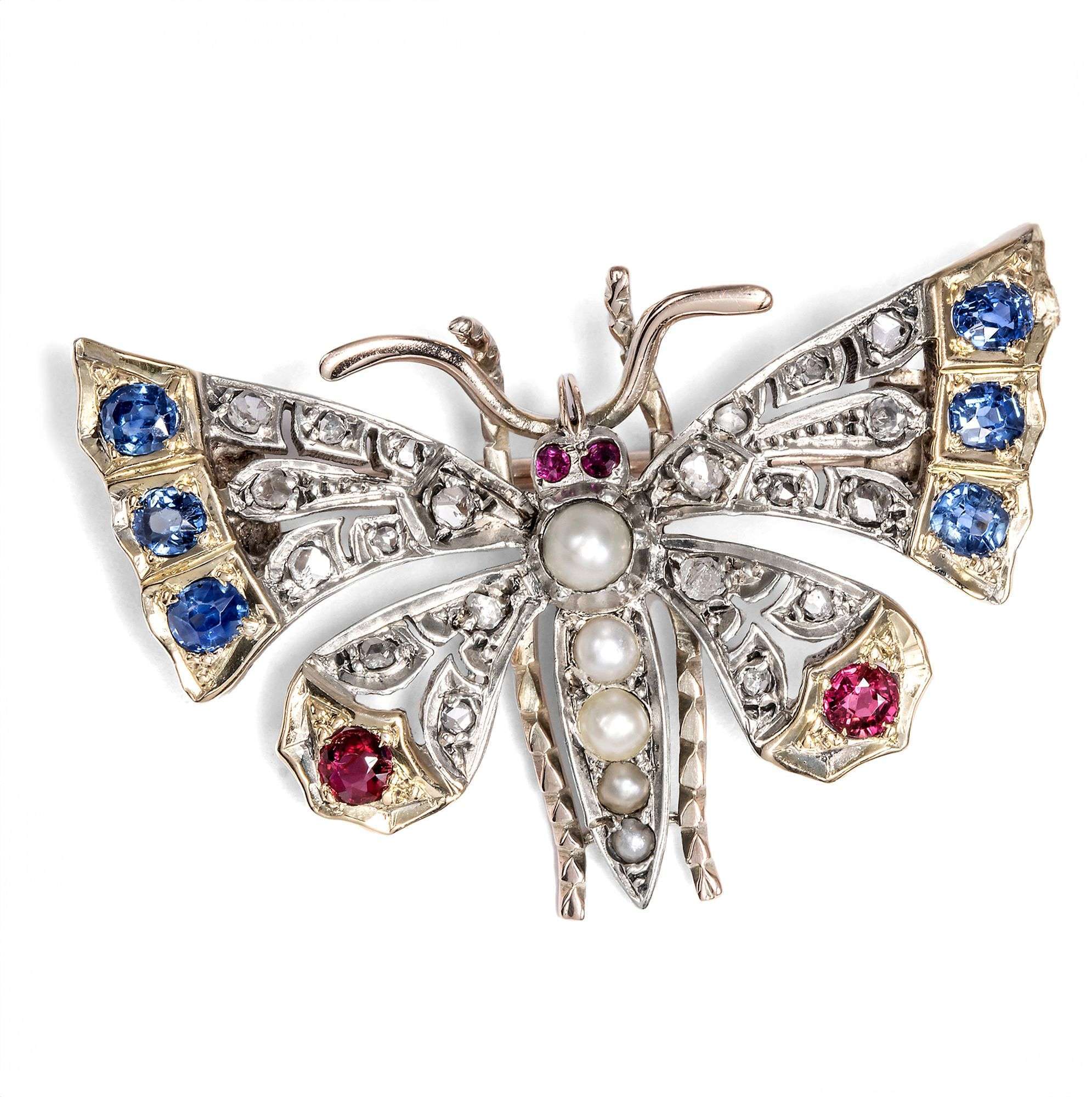 626888-hofer-antikschmuck-Viktorianischer-Schmetterling-mit-Diamante-Rubinen-und-Saphiren-um-1890-Flatterhaft-schoen